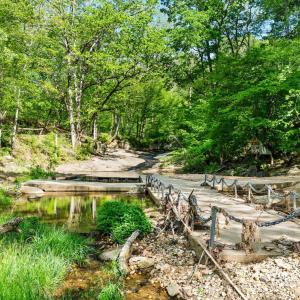 Photo #49 of 4067 Dickerson Mill Road, Bedford, VA 73.5 acres