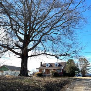 Photo #3 of 1358 Coolwell Road, Madison Heights, VA 12.9 acres