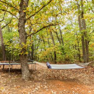 Photo #36 of 301 Log Cabin Road, Appomattox, VA 1.0 acres