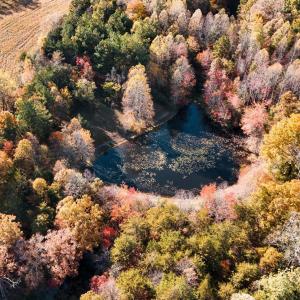 Photo #48 of 7941 Sugar Hill Road, Brookneal, VA 48.6 acres