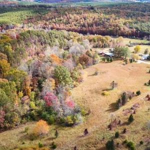 Photo #44 of 3160 Owens Mill Road, Gretna, VA 45.2 acres