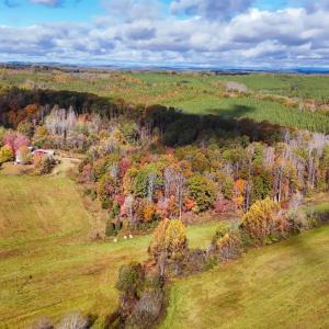 Photo #1 of 3160 Owens Mill Road, Gretna, VA 45.2 acres