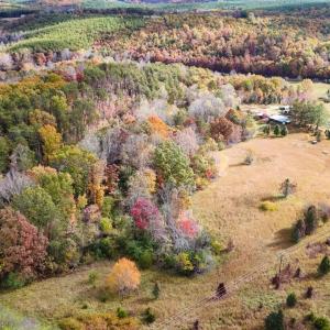 Photo #45 of 3160 Owens Mill Road, Gretna, VA 45.2 acres