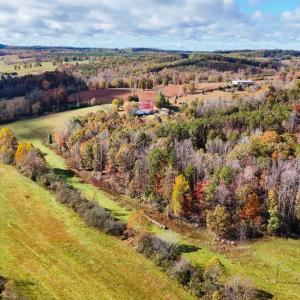 Photo #38 of 3160 Owens Mill Road, Gretna, VA 45.2 acres