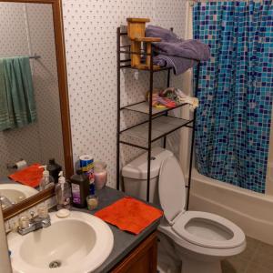 Photo #28 of 3160 Owens Mill Road, Gretna, VA 45.2 acres