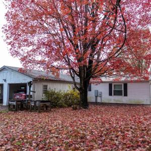 Photo #4 of 3160 Owens Mill Road, Gretna, VA 45.2 acres