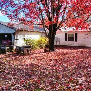 Photo #53 of 3160 Owens Mill Road, Gretna, VA 45.2 acres