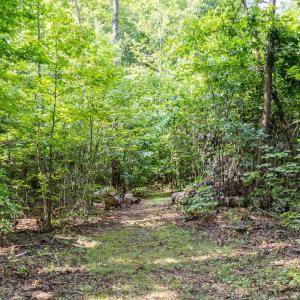 Photo #42 of 11766 Five Forks Road, Farmville, VA 8.7 acres