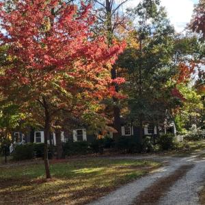 Photo #48 of 11766 Five Forks Road, Farmville, VA 8.7 acres