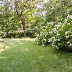 Photo #40 of 11766 Five Forks Road, Farmville, VA 8.7 acres