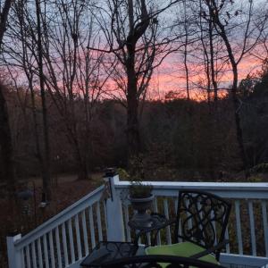 Photo #49 of 11766 Five Forks Road, Farmville, VA 8.7 acres