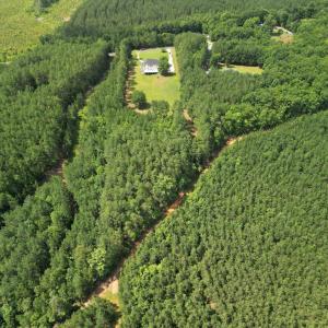 Photo #94 of 1505 Chestnut Grove, Appomattox, VA 4.0 acres