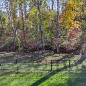 Back view with creek