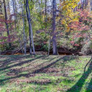 Back yard view of creek