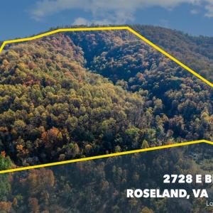 Photo #2 of 2728 E Branch Loop, Roseland, VA 101.6 acres