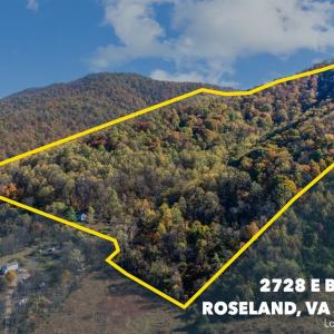 Photo #40 of 2728 E Branch Loop, Roseland, VA 101.6 acres