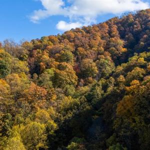 Photo #41 of 2728 E Branch Loop, Roseland, VA 101.6 acres