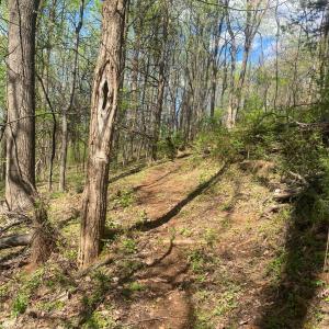 Photo #38 of 2728 E Branch Loop, Roseland, VA 101.6 acres