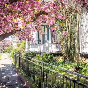 Photo #53 of 802 Court Street, Lynchburg, VA 0.2 acres