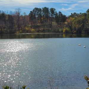 Photo #12 of 78 Lakeside Drive, Lynchburg, VA 0.5 acres
