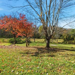 Photo #21 of 4720 Oak Dale Dr, Lynchburg, VA 0.8 acres