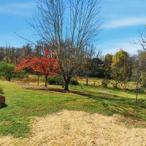 Photo #20 of 4720 Oak Dale Dr, Lynchburg, VA 0.8 acres