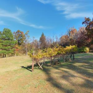 Photo #50 of 1159 Cedar Gate Road, Monroe, VA 9.3 acres