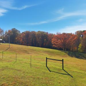 Photo #48 of 1159 Cedar Gate Road, Monroe, VA 9.3 acres