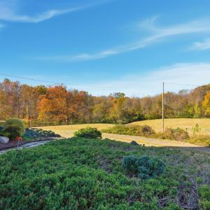 Photo #38 of 1159 Cedar Gate Road, Monroe, VA 9.3 acres