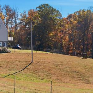 Photo #49 of 1159 Cedar Gate Road, Monroe, VA 9.3 acres