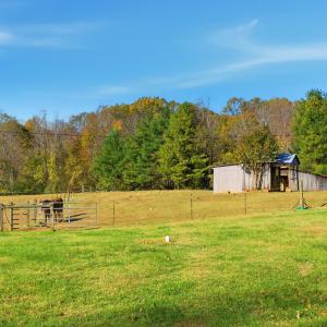 Photo #35 of 1159 Cedar Gate Road, Monroe, VA 9.3 acres