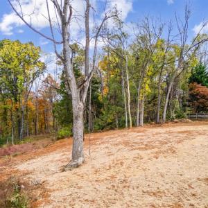 Photo #28 of 1708 Moormans Road, Lynchburg, VA 0.9 acres