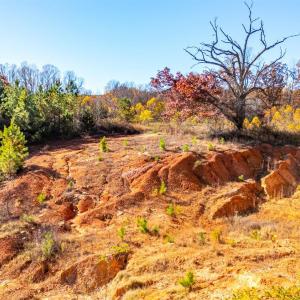 Photo #36 of 1612 S Amherst Highway, Amherst, VA 17.1 acres