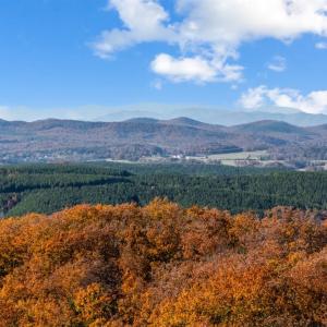 Photo #20 of 819 Cresthill Road, Lynchburg, VA 5.4 acres