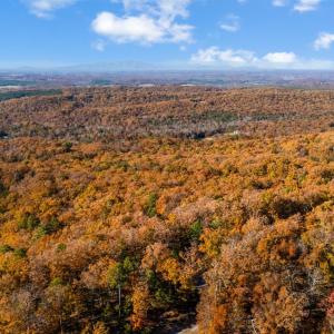 Photo #28 of 819 Cresthill Road, Lynchburg, VA 5.4 acres