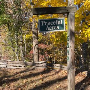 Photo #57 of 6548 Goodview Road, Goodview, VA 16.7 acres