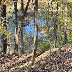 Photo #59 of 6548 Goodview Road, Goodview, VA 16.7 acres