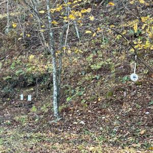 Photo #46 of 6548 Goodview Road, Goodview, VA 16.7 acres