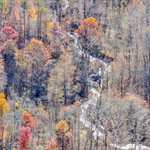 Photo #39 of 6548 Goodview Road, Goodview, VA 16.7 acres