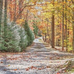 Photo #44 of 6548 Goodview Road, Goodview, VA 16.7 acres