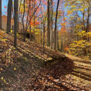 Photo #61 of 6548 Goodview Road, Goodview, VA 16.7 acres