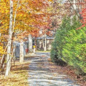 Photo #7 of 6548 Goodview Road, Goodview, VA 16.7 acres