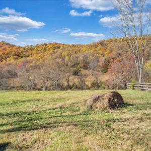 Photo #41 of 1001 Richie Farm Lane, Big Island, VA 10.9 acres