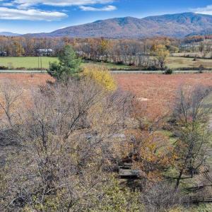 Photo #62 of 1001 Richie Farm Lane, Big Island, VA 10.9 acres