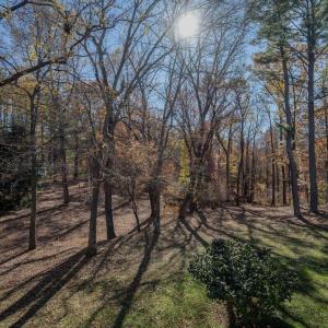 Photo #28 of 608 Lake Vista Drive, Forest, VA 1.0 acres