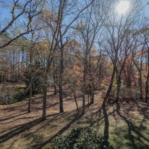 Photo #25 of 608 Lake Vista Drive, Forest, VA 1.0 acres