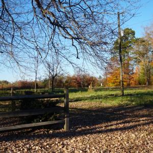 Photo #49 of 10188 Stage Coach Road, Nathalie, VA 2.9 acres