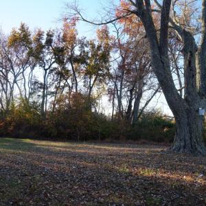 Photo #55 of 10188 Stage Coach Road, Nathalie, VA 2.9 acres