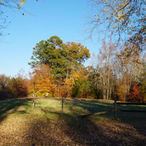 Photo #59 of 10188 Stage Coach Road, Nathalie, VA 2.9 acres