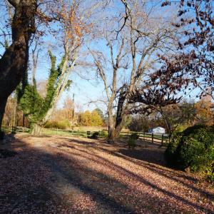 Photo #52 of 10188 Stage Coach Road, Nathalie, VA 2.9 acres